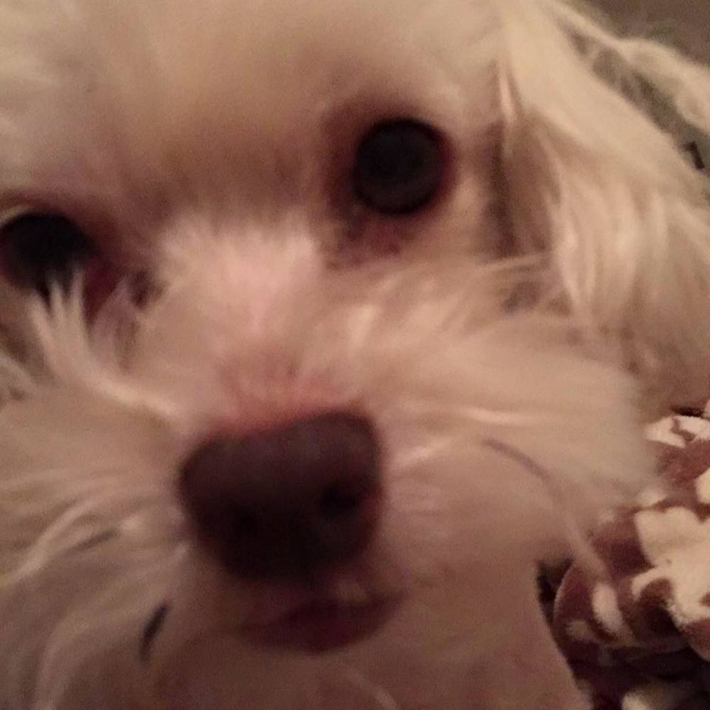 Meet your Posher, Jeamae